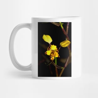 Leopard Orchid 2 Mug